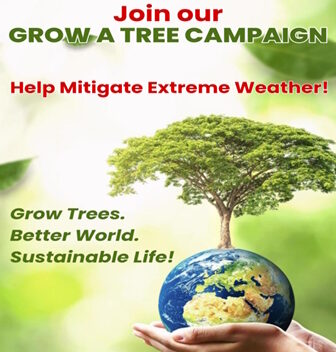 Join Our Grow a Tree Campaign